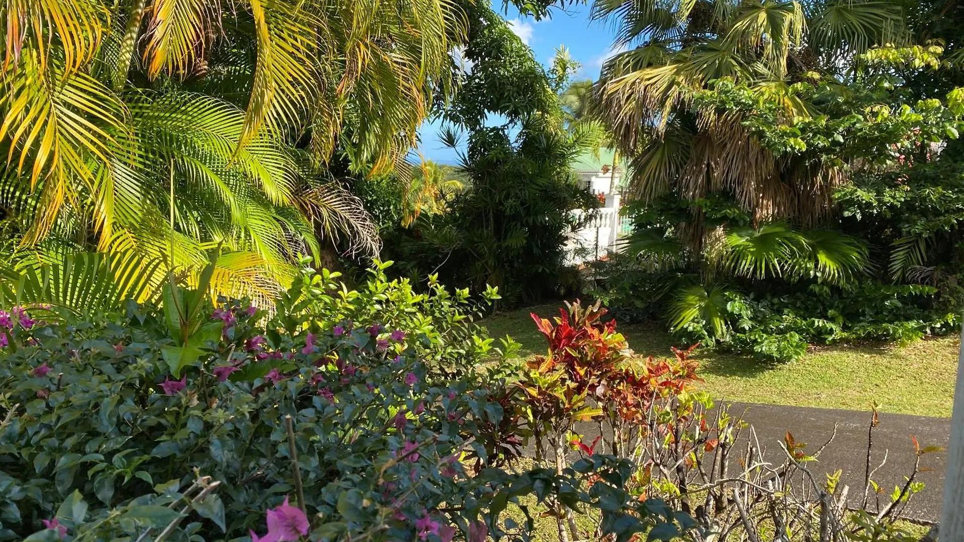 Villa Les Tililis - Belle Villa De 300 M2 Situee Au Calme Avec Grande Piscine Et Vue Montagne Petit-Bourg