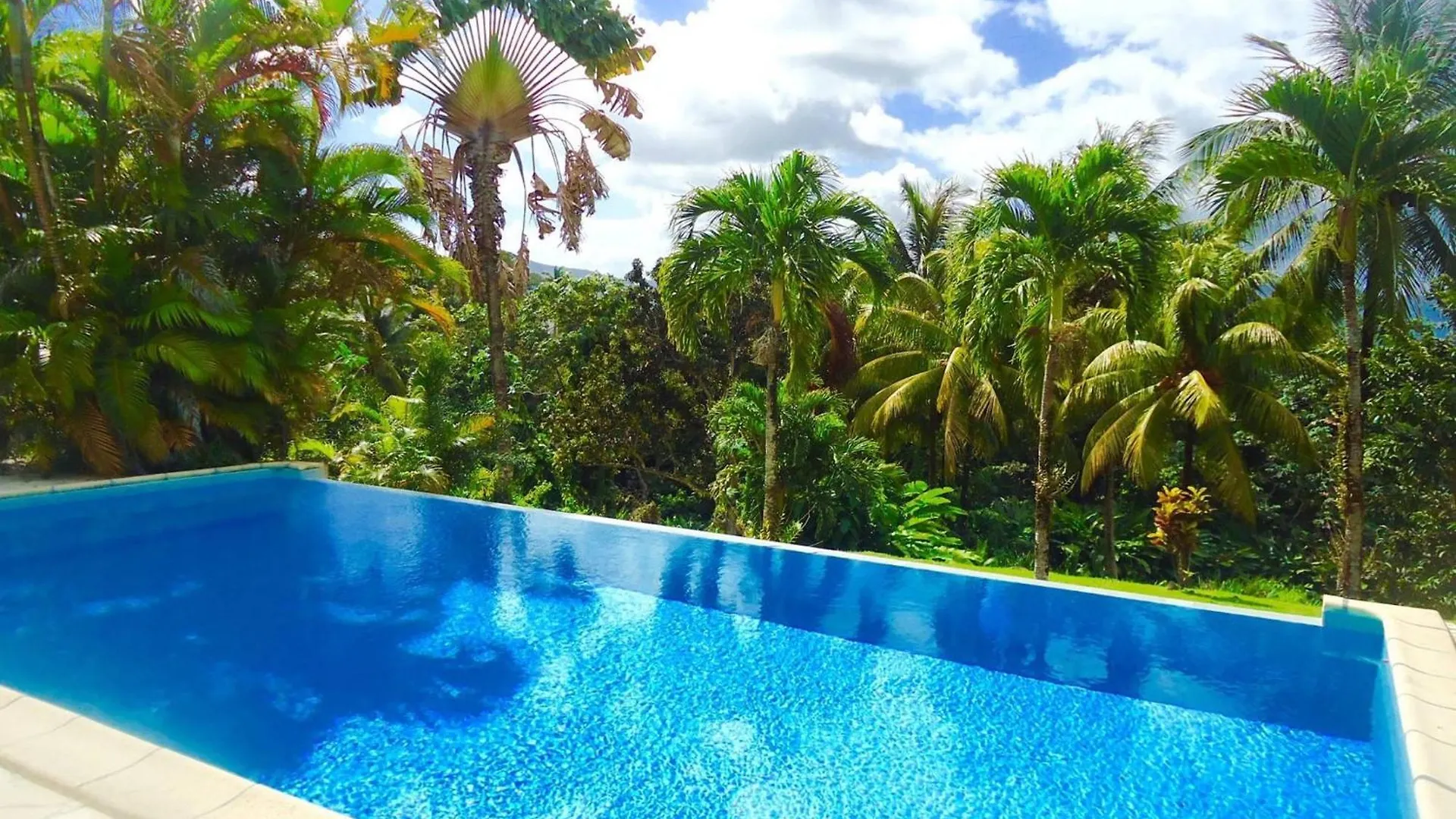 Σπίτι διακοπών Villa Les Tililis - Belle Villa De 300 M2 Situee Au Calme Avec Grande Piscine Et Vue Montagne Petit-Bourg Γουαδελούπη